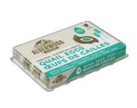 CV780-OU : Oeuf De Cailles